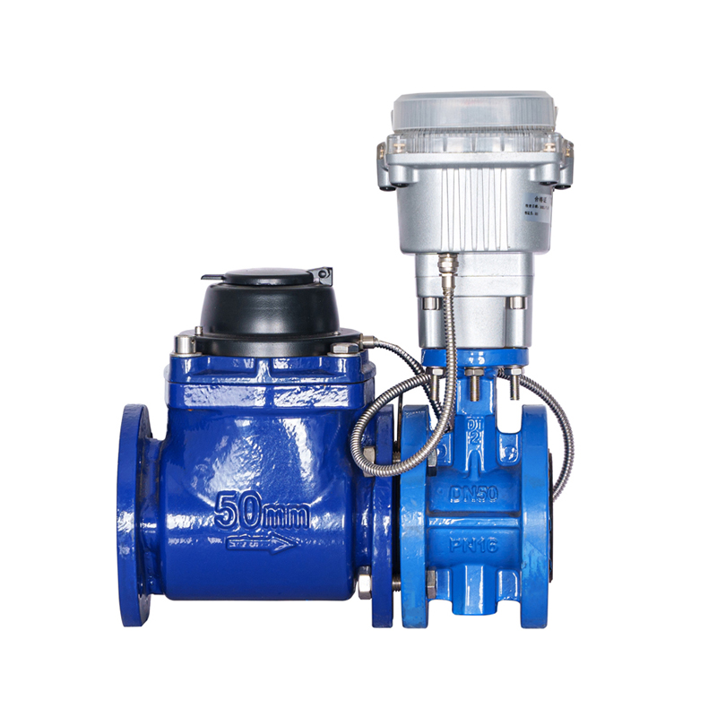 WPH DN50-DN200 Горизонтальный съемный счетчик воды с винтовым крыльевым клапаном (со многорядным клапаном)